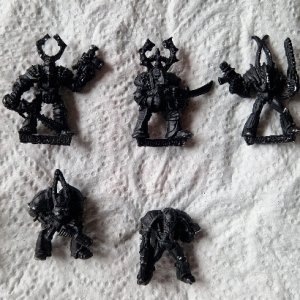 More Rogues.jpg